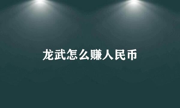 龙武怎么赚人民币
