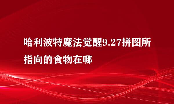 哈利波特魔法觉醒9.27拼图所指向的食物在哪