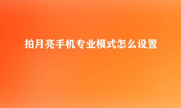 拍月亮手机专业模式怎么设置