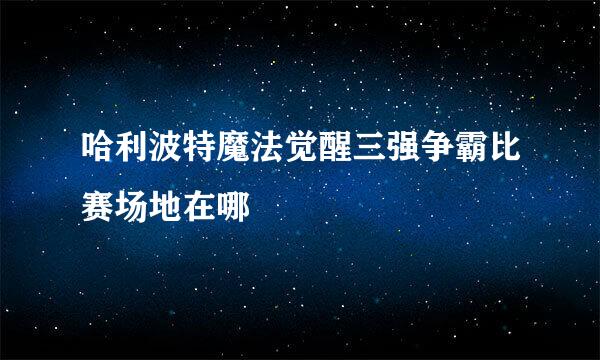 哈利波特魔法觉醒三强争霸比赛场地在哪