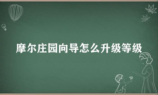 摩尔庄园向导怎么升级等级