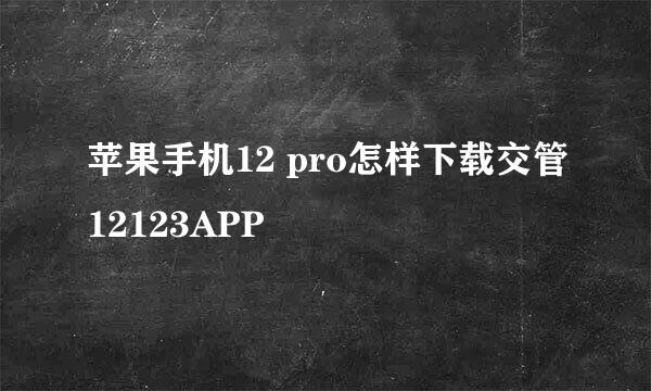 苹果手机12 pro怎样下载交管12123APP