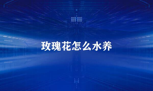 玫瑰花怎么水养