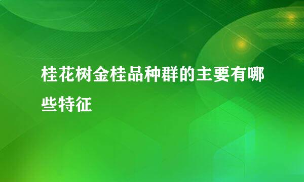 桂花树金桂品种群的主要有哪些特征