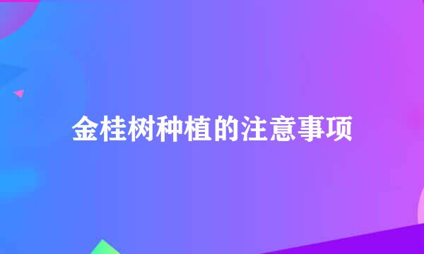 金桂树种植的注意事项