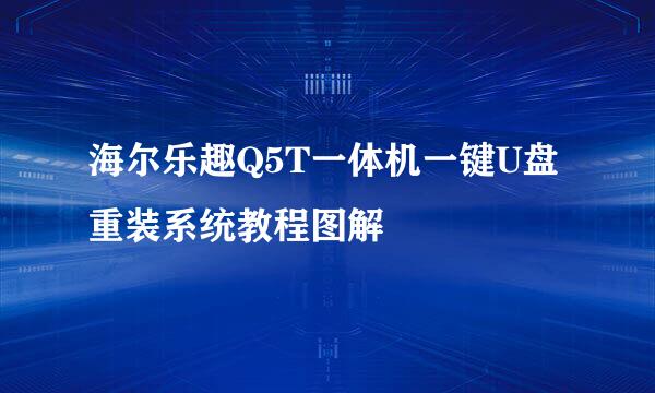 海尔乐趣Q5T一体机一键U盘重装系统教程图解