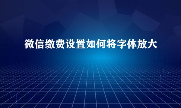 微信缴费设置如何将字体放大