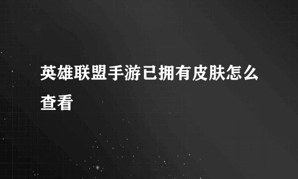 英雄联盟手游已拥有皮肤怎么查看