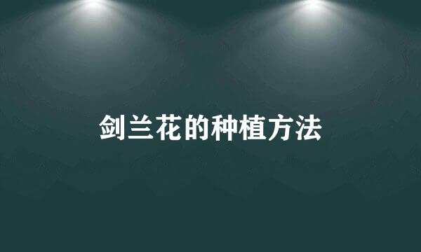 剑兰花的种植方法