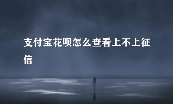 支付宝花呗怎么查看上不上征信