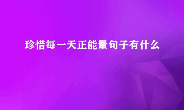 珍惜每一天正能量句子有什么