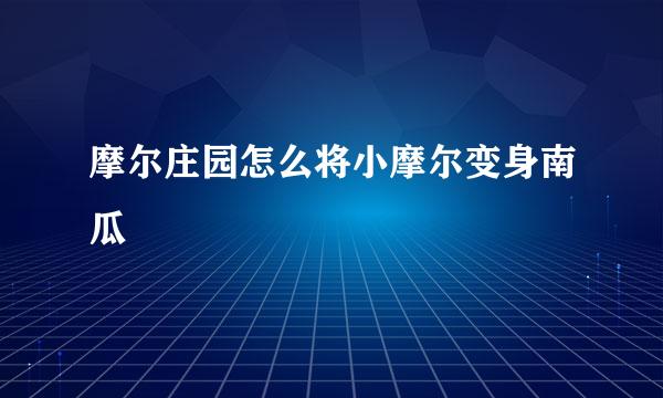 摩尔庄园怎么将小摩尔变身南瓜