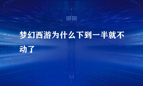 梦幻西游为什么下到一半就不动了