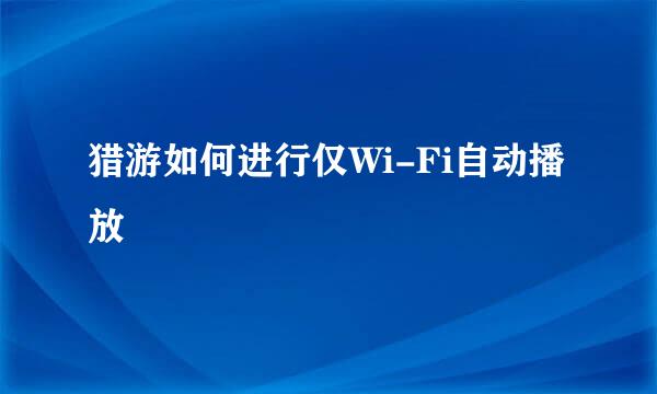 猎游如何进行仅Wi-Fi自动播放