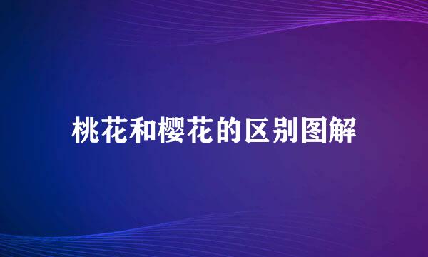 桃花和樱花的区别图解