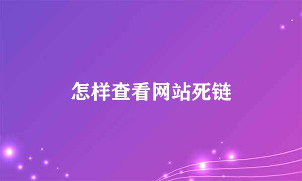 怎样查看网站死链