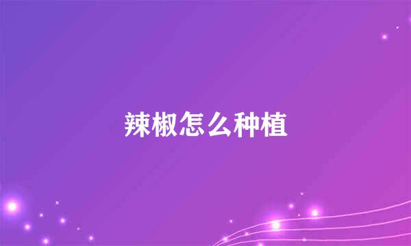 辣椒怎么种植
