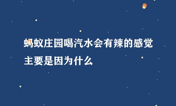 蚂蚁庄园喝汽水会有辣的感觉主要是因为什么