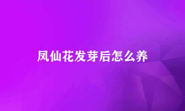 凤仙花发芽后怎么养
