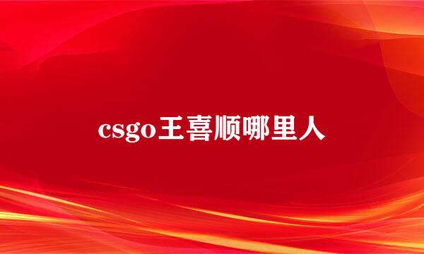 csgo王喜顺哪里人
