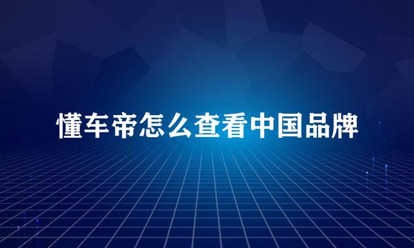 懂车帝怎么查看中国品牌