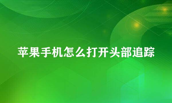 苹果手机怎么打开头部追踪