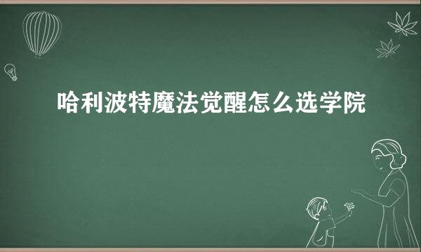 哈利波特魔法觉醒怎么选学院