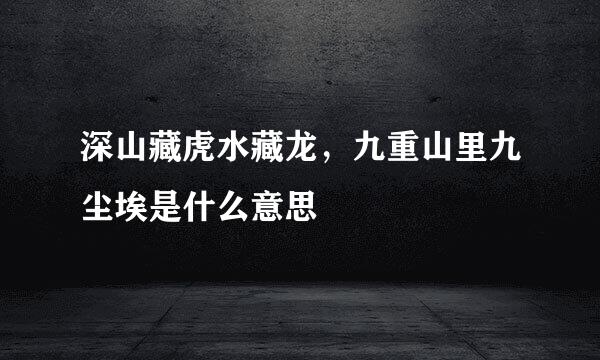 深山藏虎水藏龙，九重山里九尘埃是什么意思