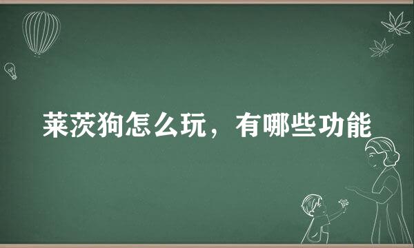 莱茨狗怎么玩，有哪些功能
