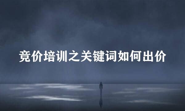 竞价培训之关键词如何出价