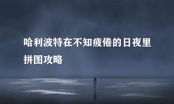 哈利波特在不知疲倦的日夜里拼图攻略