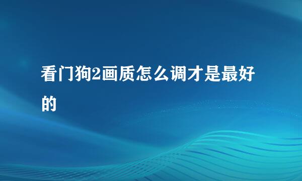 看门狗2画质怎么调才是最好的