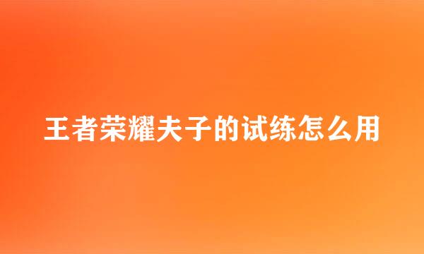 王者荣耀夫子的试练怎么用