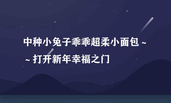 中种小兔子乖乖超柔小面包～～打开新年幸福之门