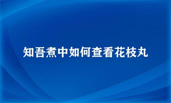 知吾煮中如何查看花枝丸