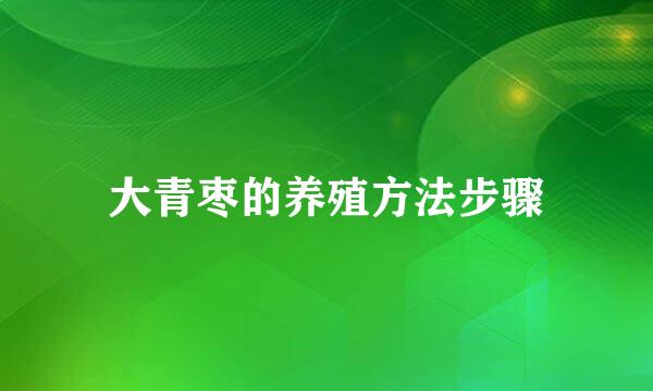 大青枣的养殖方法步骤