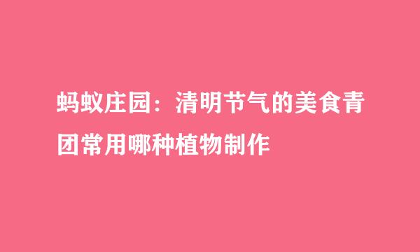 蚂蚁庄园:清明节气的美食青团常用哪种植物制作