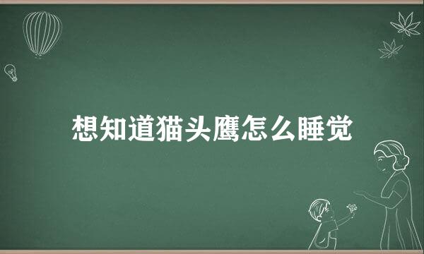想知道猫头鹰怎么睡觉