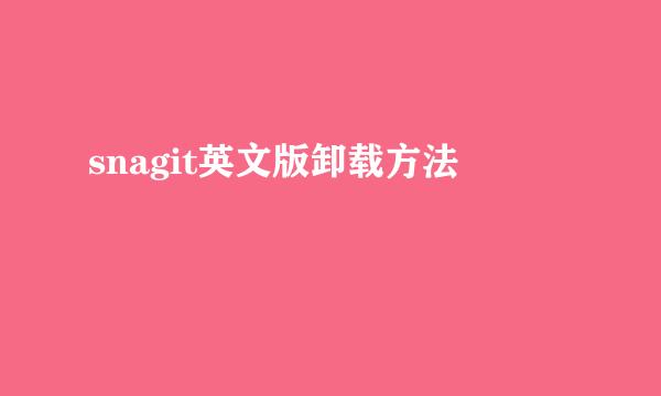 snagit英文版卸载方法