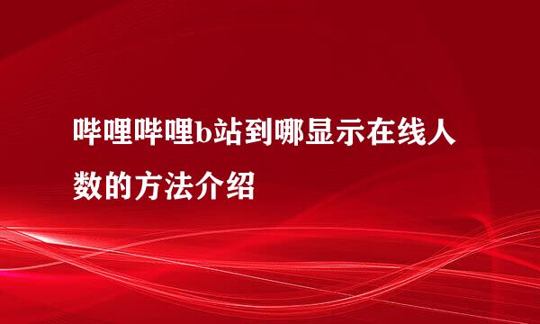 哔哩哔哩b站到哪显示在线人数的方法介绍