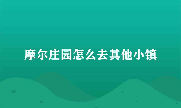 摩尔庄园怎么去其他小镇