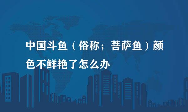 中国斗鱼（俗称；菩萨鱼）颜色不鲜艳了怎么办