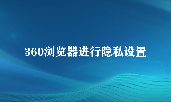 360浏览器进行隐私设置
