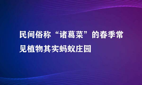 民间俗称“诸葛菜”的春季常见植物其实蚂蚁庄园