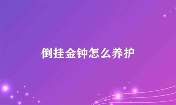 倒挂金钟怎么养护