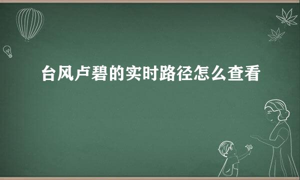 台风卢碧的实时路径怎么查看
