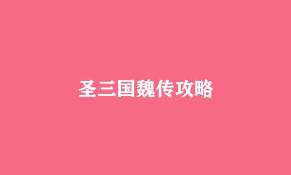 圣三国魏传攻略