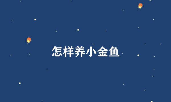 怎样养小金鱼