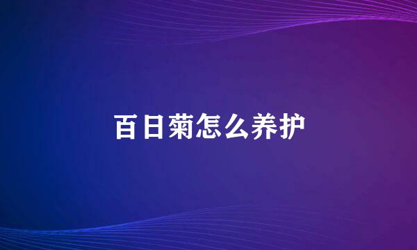 百日菊怎么养护