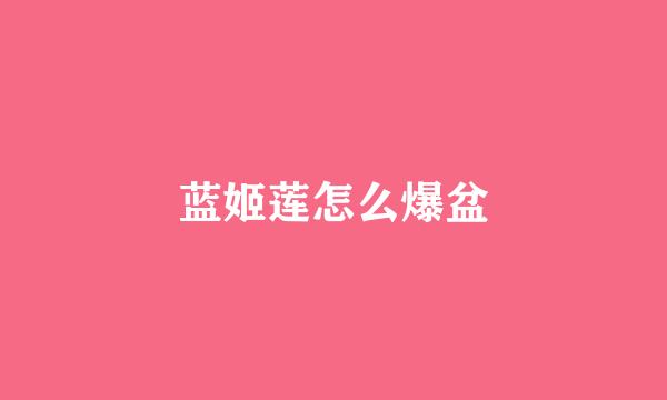 蓝姬莲怎么爆盆